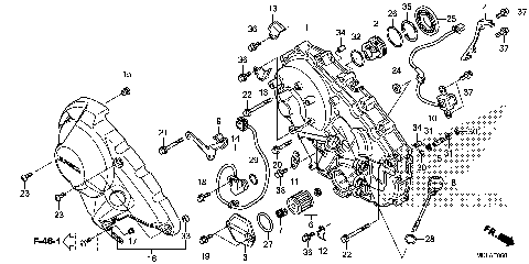 RIGHT CRANKCASE COVER (2)