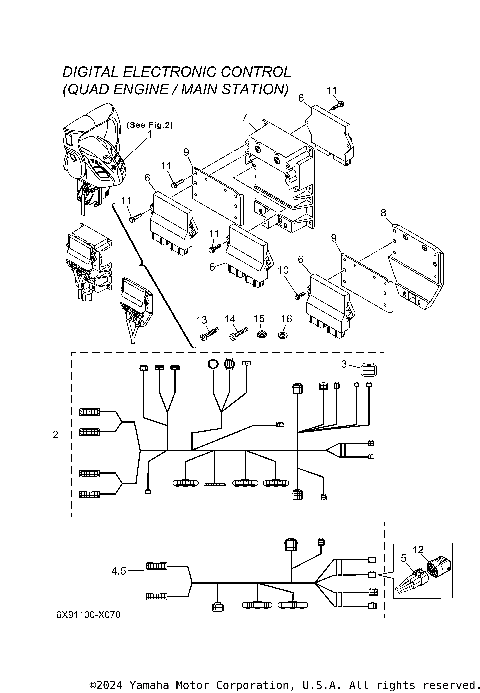 DEC 7 (QUAD/MAIN ST)