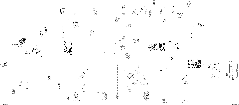 08- Electric - Main Harness - 710007531