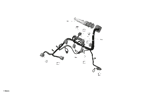 01- ROTAX - Engine Harness And Electronic Module
