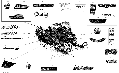 09- Body - Decals - X