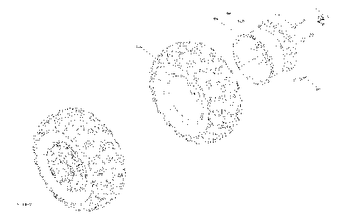 04- Drive - Rear Section - Wheels - XT