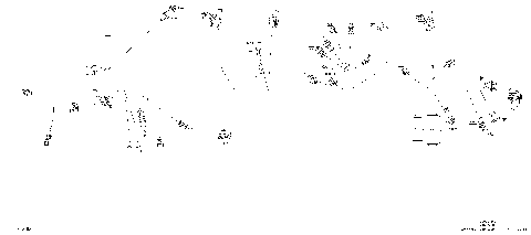 08- Electric - Main Harness - 710007900