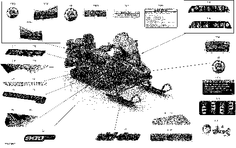 09- Body - Decals - SE