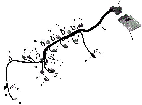 01- ROTAX - Engine Harness And Electronic Module