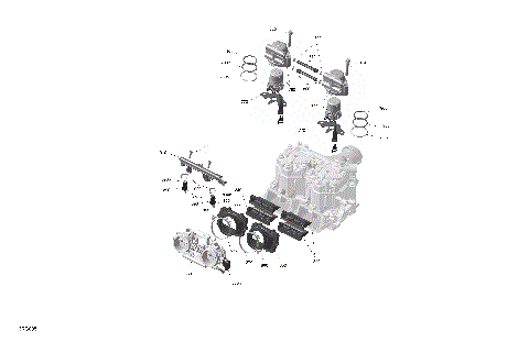 01- ROTAX - Electronic Fuel Injection