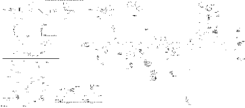 08- Electric - Main Harness - 515178959