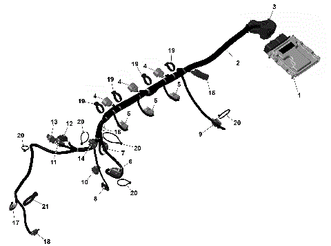 01- ROTAX - Engine Harness And Electronic Module