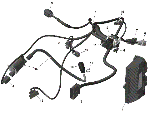 01- ROTAX - Engine Harness And Electronic Module