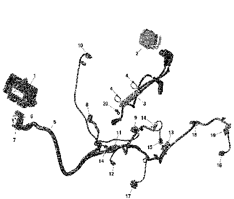 01- ROTAX - Engine Harness And Electronic Module