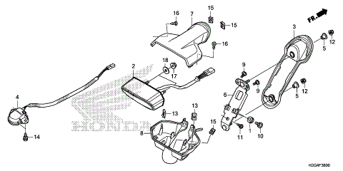 TAILLIGHT@LICENSE LIGHT