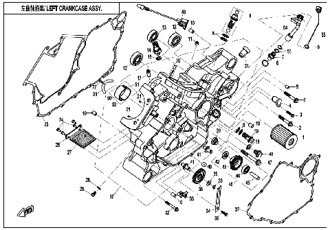 LEFT CRANKCASE ASSY.
