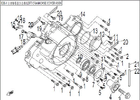 LEFT CRANKCASE COVER ASSY