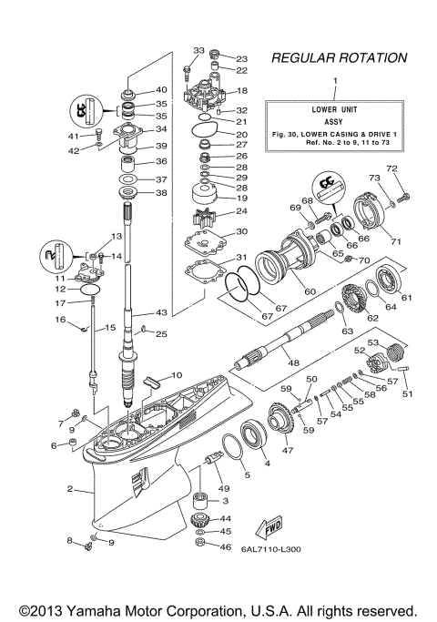 LOWER CASING DRIVE 1
