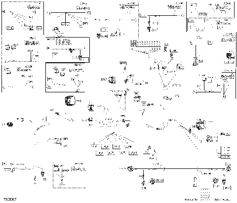 08- Electric - Main Harness - 710008017