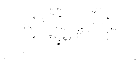 10- Main Harness 515178548 - Shot Start