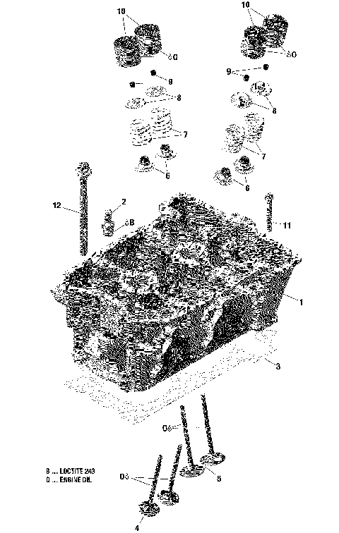 01 ROTAX - Engine - Cylinder Head - 600 ACE