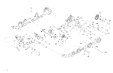 08- Rear Suspension XTerrain - 600R E-TEC  -  Upper Section