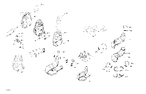 01- Exhaust - 600 CARB