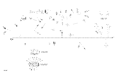 10- Electrical - Main Harness - 710005793 - International