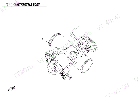 THROTTLE BODY