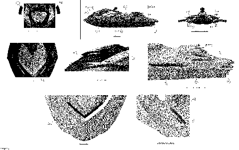 09- Decals (29S1309b)