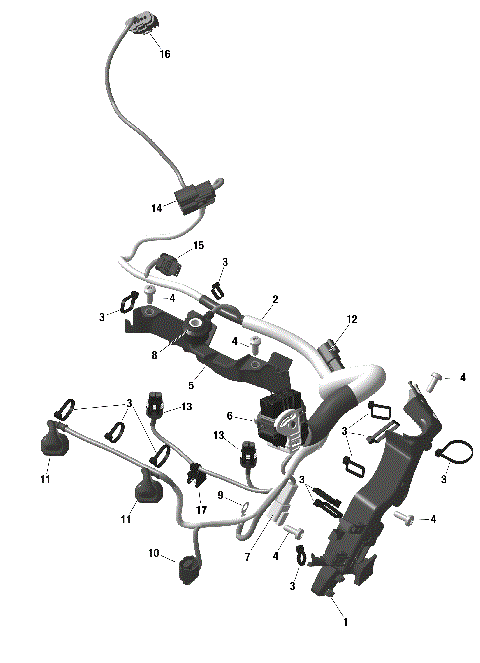 01- ROTAX - Engine Harness And Electronic Module