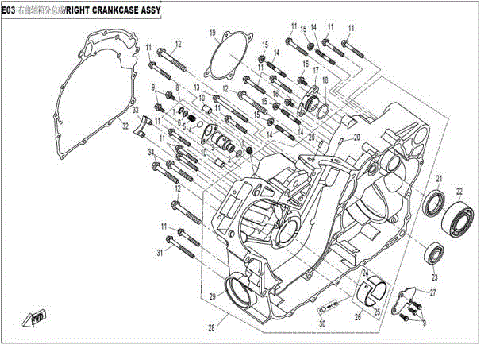 RIGHT CRANKCASE ASSY