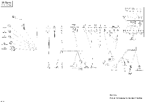 10- Electrical Harness