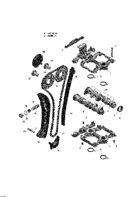 01- Camshafts And Timing Chain _05R1550