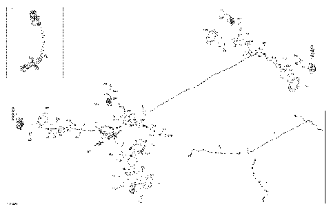 03- Mechanic - Brakes