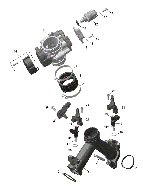 01- ROTAX - Air Intake Manifold And Throttle Body