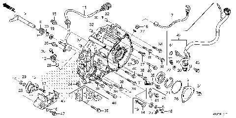 REAR CRANKCASE COVER