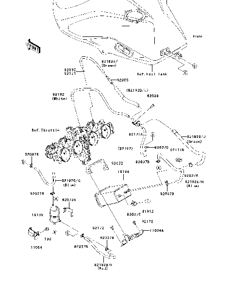 Fuel Evaporative System(CA)