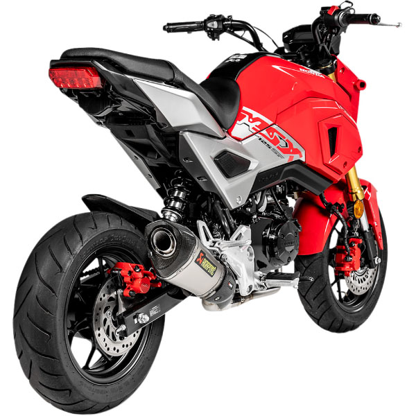 ne Kawasaki Racebike Reveal: Biker Life in Action | TikTok