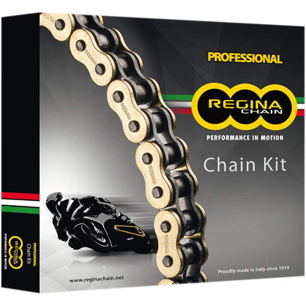 REGINA CHAIN CHAIN AND SPROCKET KITS for Sale | J & J Sales, Huron OH