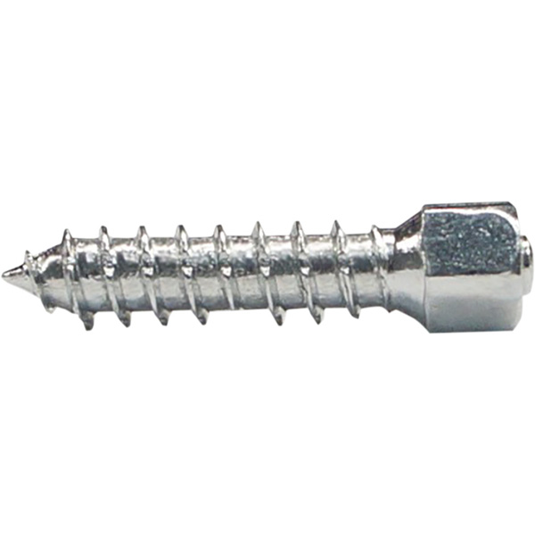 WOODY'S® TWIST™ TIRE SCREWS for Sale | Thomas Honda & Kawasaki