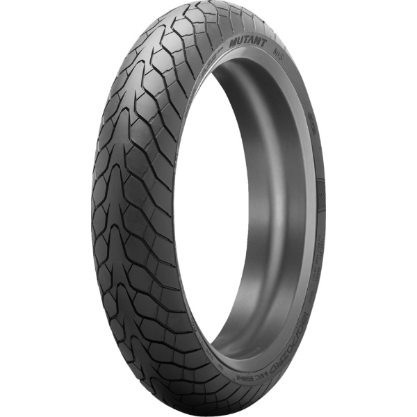 DUNLOP SPORTMAX α14 120/60R17M/C55H Amazon.com: Dunlop RoadSport 2 Front Tire (120/60ZR-17