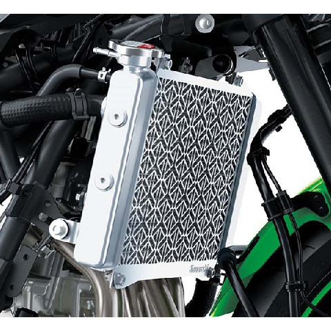 Nshhsjjs akhsjjd akさん専用.4 2025 Kawasaki NINJA® ZX™-4RR ABS KRT Edition | Langston
