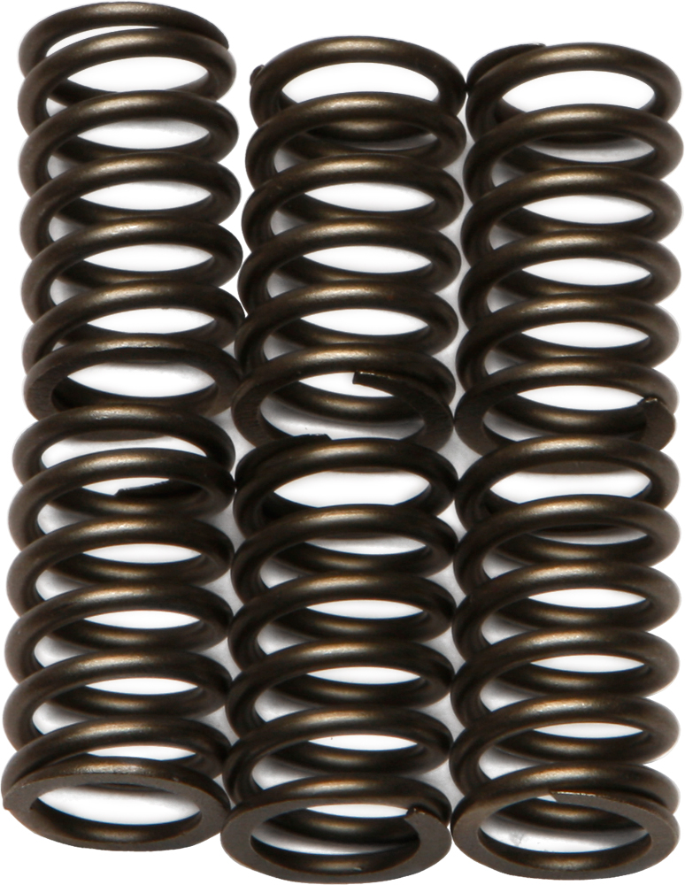 ラム EBC REDLINE CLUTCH SPRINGS for Sale | Village Motorsports