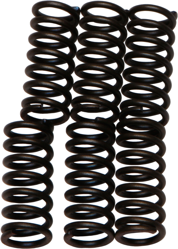 EBC REDLINE CLUTCH SPRINGS for Sale | Village Motorsports