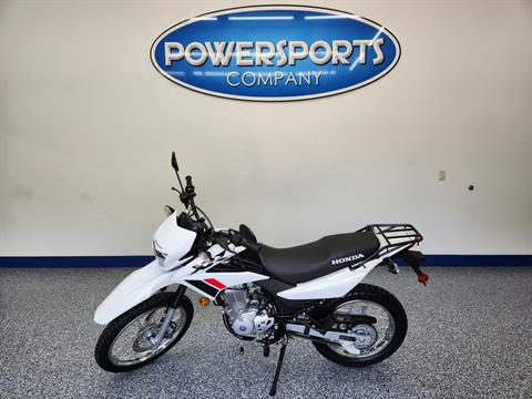 2024 Honda XR150L in Beaver Dam, Wisconsin - Photo 5