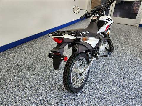 2024 Honda XR150L in Beaver Dam, Wisconsin - Photo 8