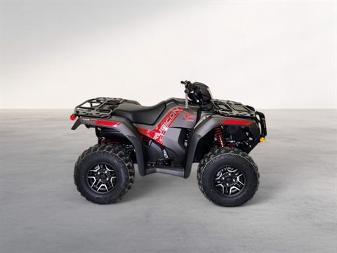 2024 Honda FourTrax Foreman Rubicon 4x4 Automatic DCT EPS Deluxe in Beaver Dam, Wisconsin - Photo 2