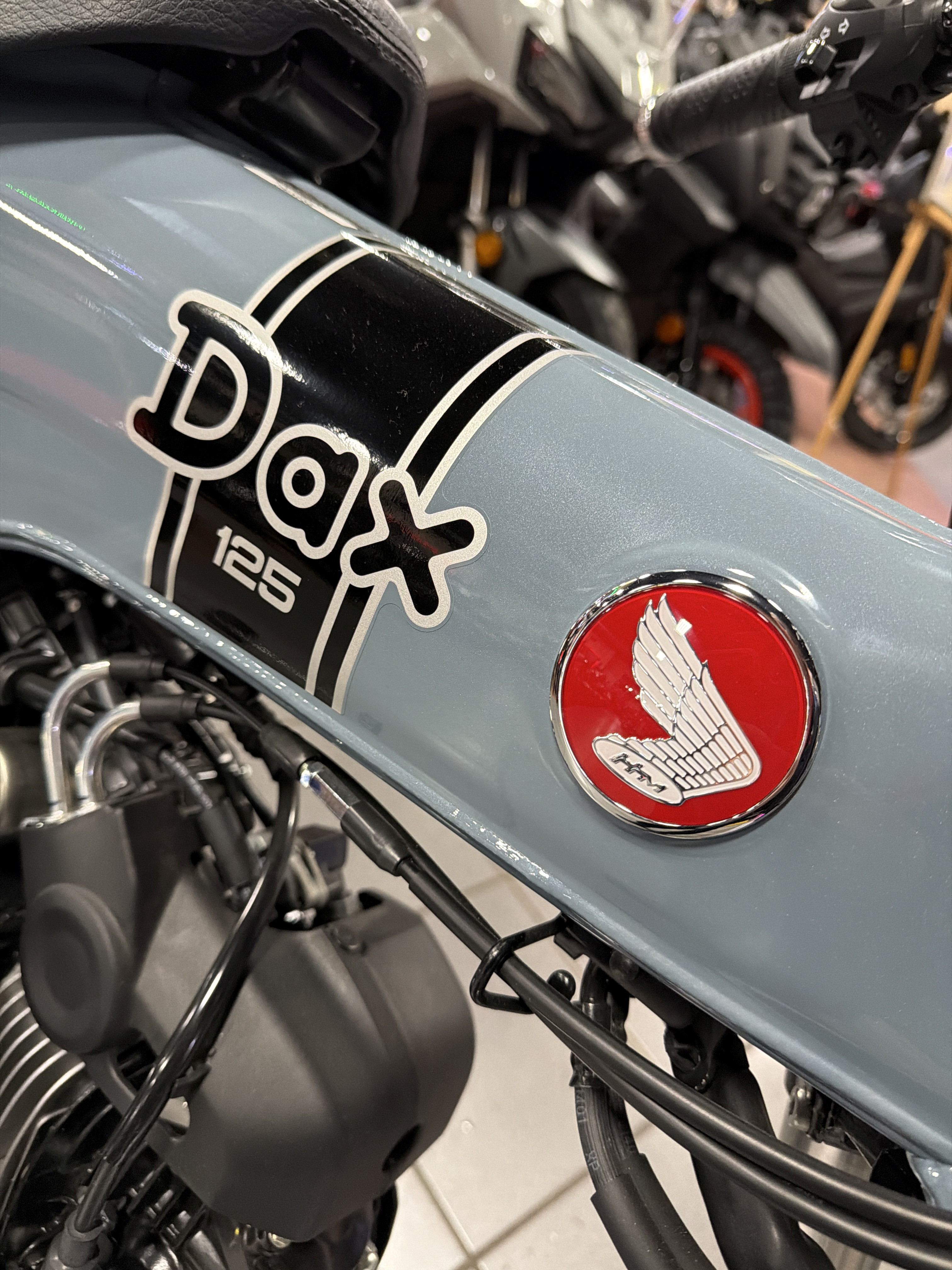 2025 Honda Dax 125 3