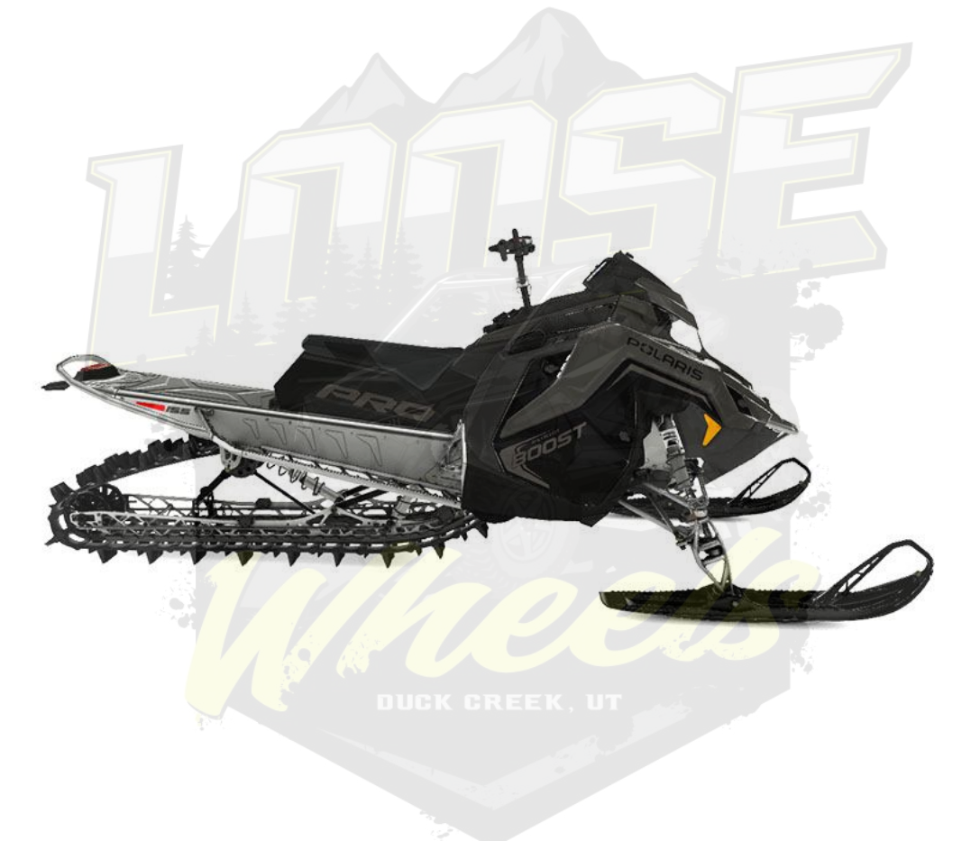 2025 Polaris Patriot Boost PRO RMK 155 SC for sale 625274