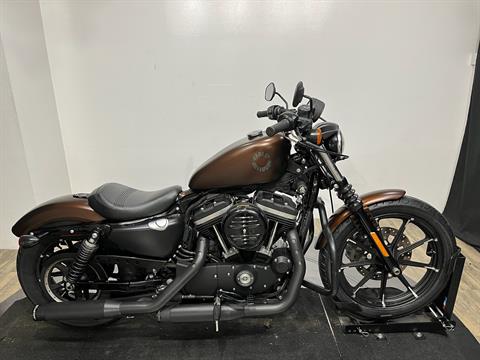 2019 Harley-Davidson Iron 883™, Wauconda IL | Certified Pre-Owned
