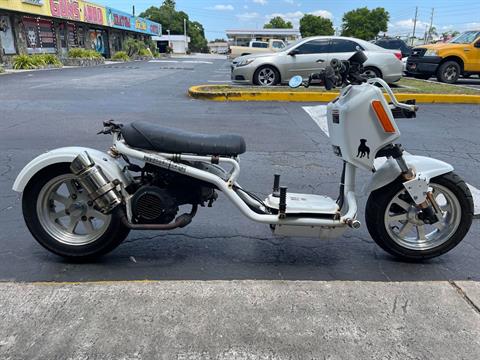 New 2020 Icebear Maddog 150 | Scooters in Largo FL | White
