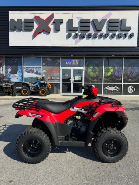 2026 Kawasaki Brute Force 300