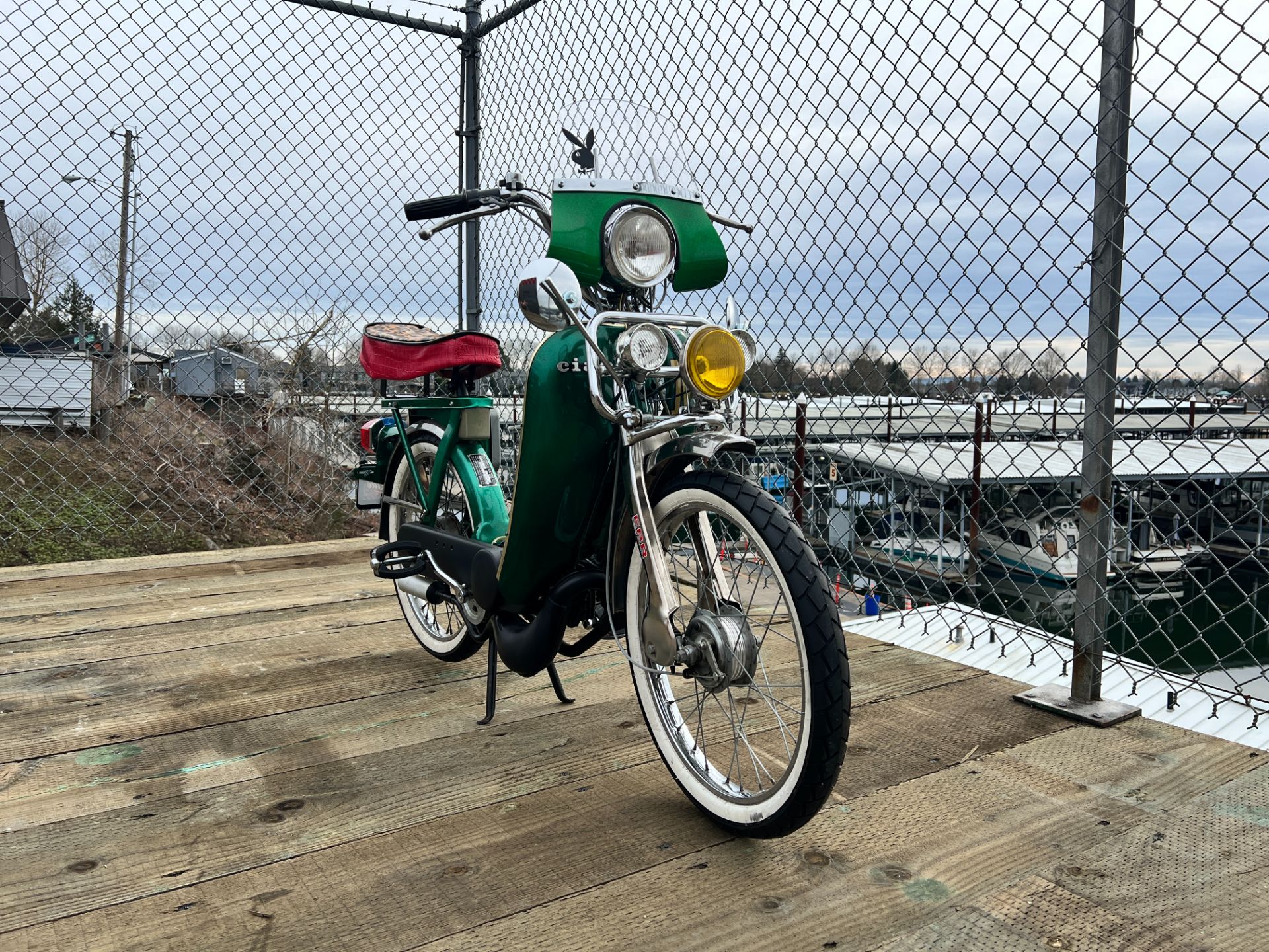 Dalia Vespa 1397(グリーン) Vespa green hi-res stock photography and images - Alamy
